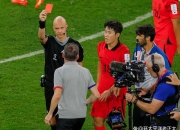 爱游戏体育-南城雄鹿队击败陇右雄鹿队，羽毛球季后赛上演裁判判罚引热议！球迷期待下一战的简单介绍